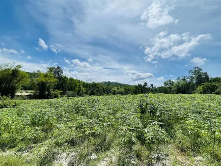 Cc bán rẻ đất phong thuỷ tốt 13,000m2, 200m2 thổ cư, suối, gần núi & biển giá 1,868 tỷ. bình định