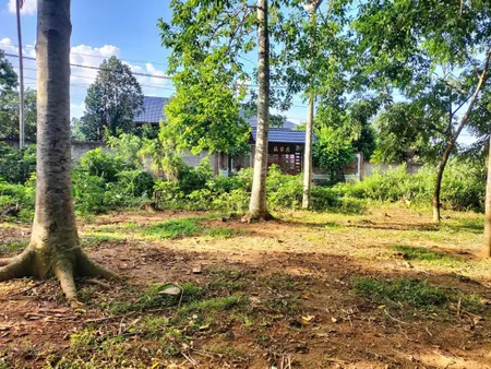Cần bán gấp 2965m2 thổ cư siêu đẹp, xanh mát tại bãi chạo kim bôi hòa bình, giá chỉ nhỉnh 1tr/m2
