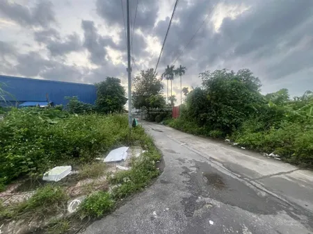 58,8m2 đất đấu giá đẩu sơn 1 ngang 4,2m đường 4m