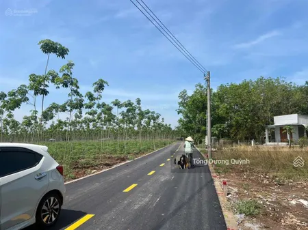 Cần bán gấp lô đất ngay dh507 phú giáo bình dương sổ hồng riêng bán đủ 690tr
