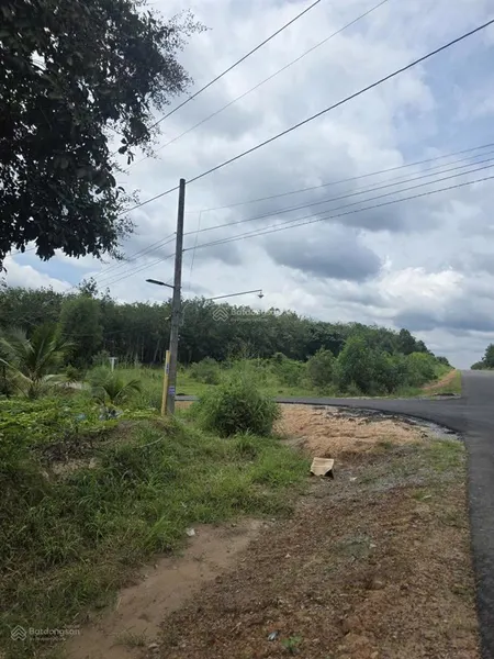 Bán đất đường hồ chí minh, dầu tiếng, bình dương