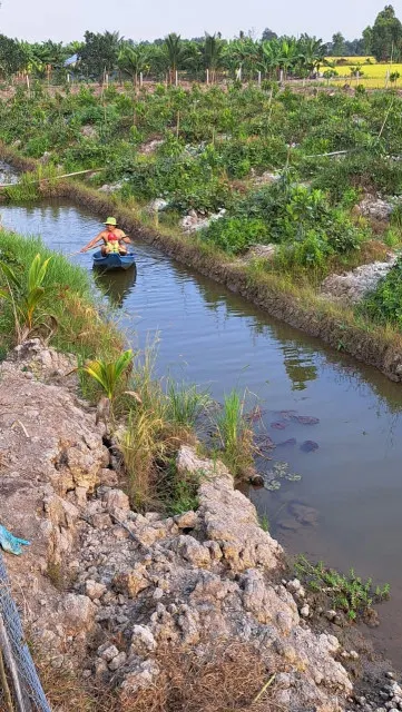 Lô  góc 2 mặt tiền sông vòm cỏ đông