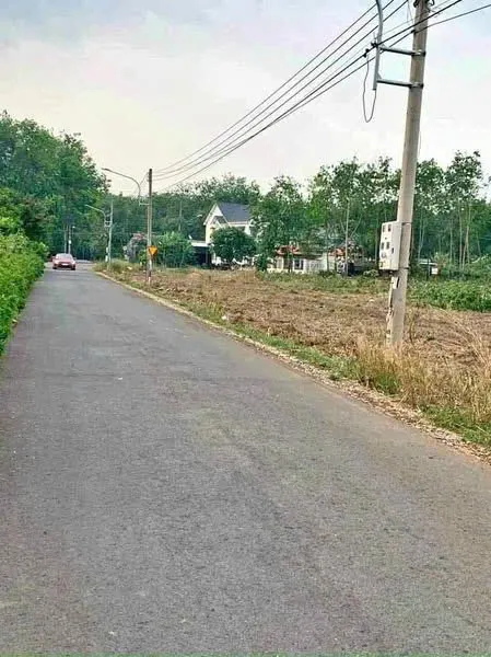 1 lô ngay Đường vào khu du lịch hồ điều hoà ,sinh thái lớn nhất Tphcm mới