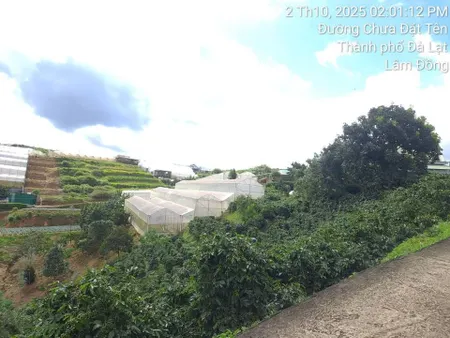 Bán nhanh đất Xuân Thọ, đường Tập Đoàn 1, cách UBND 1,5 cây. THÍCH HỢP ĐẦU TƯ LÂU DÀI