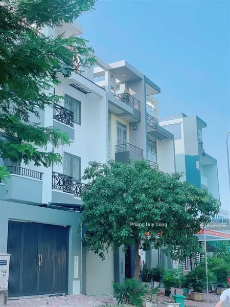 Bán đất nền dự án 100m2 tại kdc làng việt kiều phong phú, giá 4,65 tỷ bao gồm cả móng cọc.