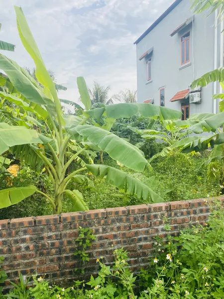 Cực hiếm! Bán lô duy nhất mặt đường Nho Lâm – Phượng Kỳ, Tứ Kỳ, giá chỉ 2.1 tỷ