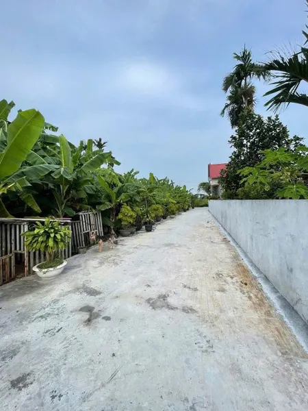 SIÊU PHẨM ĐẤT LÃO PHÚ – TÂN PHONG, KIẾN THỤY – GIÁ CHỈ 7XX TRIỆU – ĐẸP KHÔNG TÌ VẾT – ZALO 0567 222 555