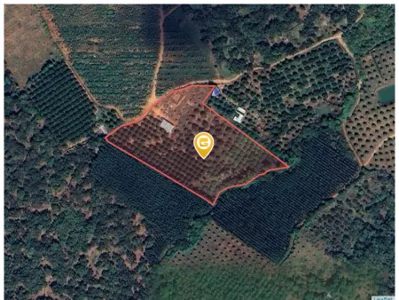 Bán đất 14004.7m² giá 5.6 tỷ Xã Xuân Hòa
400 triệu / sào Liên hệ 0792 813 619 ( cmglong)