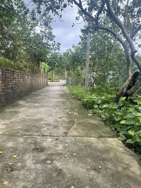 195,8m2! sát vành đai 4, ngay chợ đông tảo, cạnh đại đô thị sungroup, đường ô tô, giá đầu tư