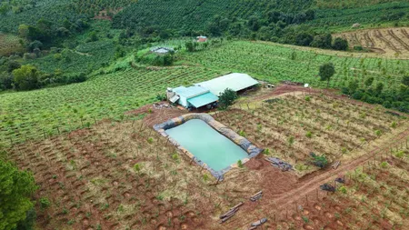 💥 Siêu phẩm- 8,6ha đất rẫy cà phê + rẫy sầu riêng gần phố