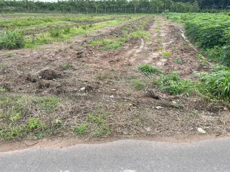 Cần bán lô đất 434,3m2 đất thổ cư mặt tiền đường dh504 khu dân cư hiện hữu, sổ hồng riêng