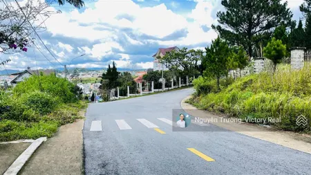 Đất view đà lạt mặt tiền kqh đường nguyễn hữu cảnh, phường 8, đà lạt, 295.9m2 giá 14 tỷ