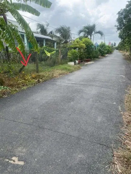 Bán đất thổ mặt tiền nhựa lê minh xuân thuộc xã nhơn thạnh trung , tp tân an diện tích 5.2 x 55