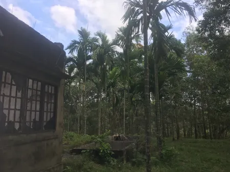 Bán đất trang trại tại Hòa Phú Hòa Vang Đà Nẵng
