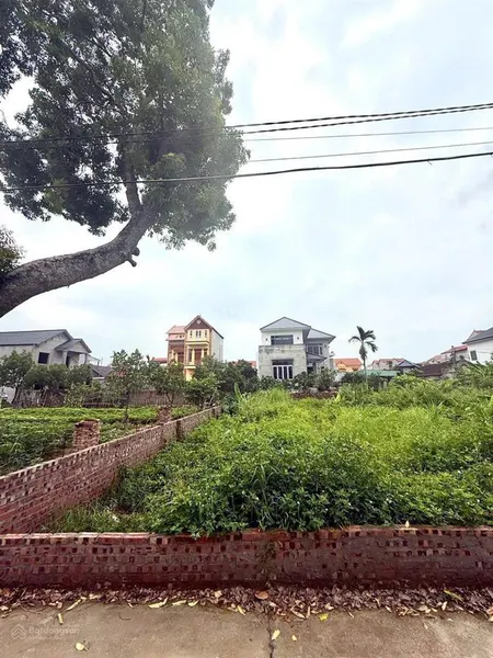 Lô đất giá rẻ hơn xung quanh 10 giá tại thanh lâm
