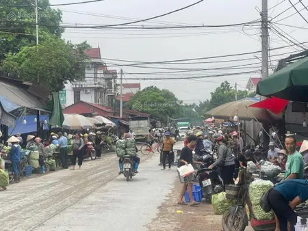 85,2 m2 đất kinh doanh mặt ngoài đấu giá đông tảo khoái châu giáp trường học,uỷ ban, chợ nông sản
