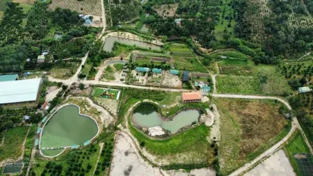 Bán đất 9.805m2 giá rẻ tại eahleo đắk lắk