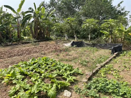 Chính chủ bán lô đất vườn nn 50m2 an thượng an khánh, hoài đức, mặt đường 3m, (cc 0393 410 ***)