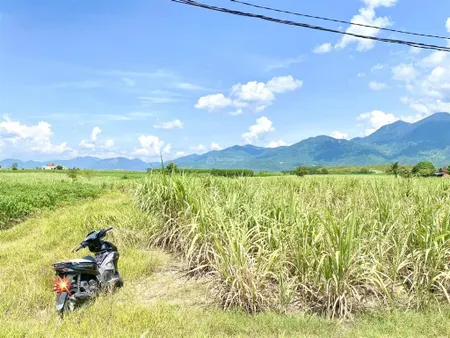 Bán mảnh đất được xây dựng trang trại tại xã hoà trí (ninh thượng) tỉnh khánh hoà