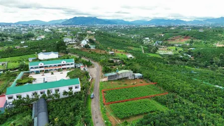 Bán đất tại phường 2, bảo lộc, lâm đồng, 3,9 tỷ, 545 m2, uy tín hot!
