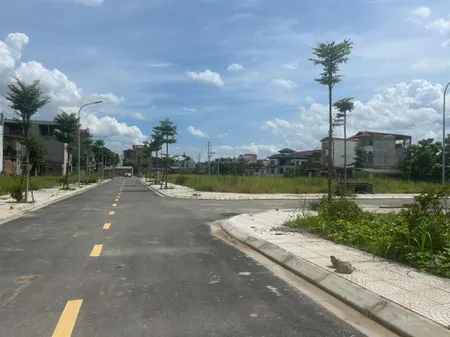 Siêu phẩm đất đấu giá kênh đào (xã an mỹ)