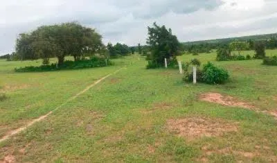 Bán đất vườn xã hồng thái, huyện bắc bình, tỉnh bình thuận