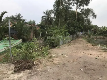 Bán đất trồng cây lâu năm tại xóm cốm, ấp 1, xã mỹ thạnh, thủ thừa, long an