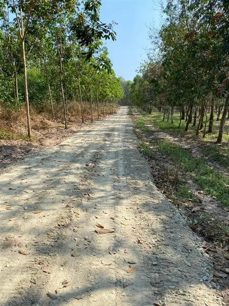 Duy nhất 800 triệu sở hữu hơn 1.000m2 sổ hồng tại long tân, dầu tiếng sát khu công nghiệp