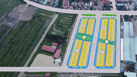 Chủ cần cắt cọc đấu giá trương kênh cầu, hoàn long