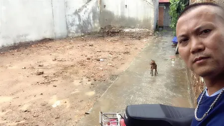 Đất thái hoà xã hợp đồng cmy lô góc 80mv . giá hơn 2tỷ.ngõ ô tô. sổ đỏ pháp lý rõ ràng.