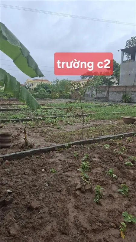 Đất thổ cư. vuông đẹp, sổ đỏ chính chủ.