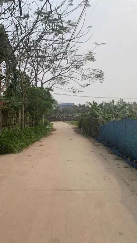 Chính chủ gửi bán đất tại nam lý, bắc sơn, sóc sơn, hà nội,s=740m2, 2,05 tỷ