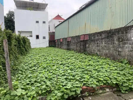 Bán đất sổ đỏ chính chủ, 106 m2, 5,1 tỷ (bao sổ) thôn phú trạch xã mễ sở, văn giang, hưng yên