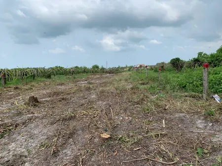 💥Bán đất 1125m², 300m² thổ cư, hẻm Ngô Đức Tốn, Tân Hải, La Gi chỉ 850 triệu
