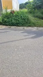 Bán 2 lô đất trục đường chính vào công an xã Đồng Hỷ cách quốc lộ 1B 300m đường rộng 10m