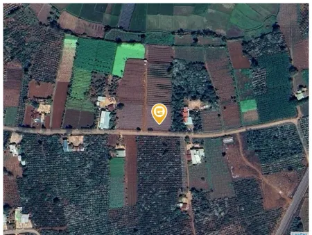 Bán đất 1500m² ngang 30m giá 1.35 tỷ Xã Ia Băng