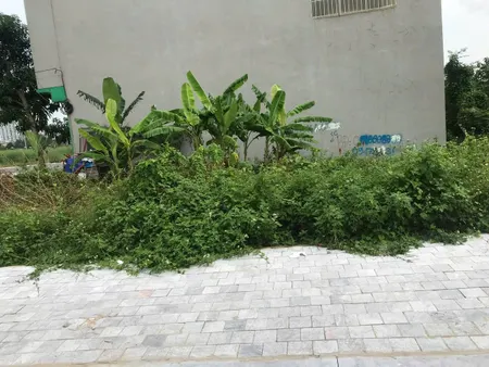 🏡 BÁN LÔ ĐẤT MBQH 8267  KV CỐC HẠ, CÔNG VIÊN NƯỚC , TP THANH HÓA