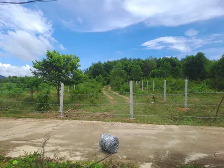 Bán đất 500.5m² ngang 10m giá 750 triệu Xã Bắc Khánh Vĩnh