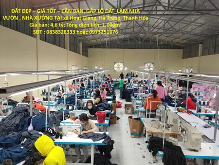 ĐẤT ĐẸP – GIÁ TỐT – CẦN BÁN. GẤP LÔ ĐẤT  LÀM NHÀ VƯỜN , NHÀ XƯỞNG TẠI xã Hoạt Giang, Hà Trung, Thanh Hóa