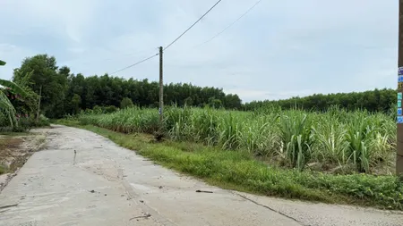 BÁN ĐẤT VĨNH ĐÔNG – CAM AN NAM – CAM LÂM | 608 m² (38 x 18) | GIÁ CHỈ 850 TRIỆU