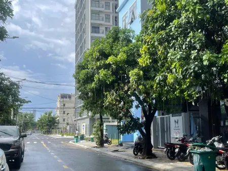 🔥BÁN LÔ ĐẤT MẶT TIỀN KHUÊ MỸ ĐÔNG 1 – ĐƯỜNG 7M5, LỀ 4M – NGŨ HÀNH SƠN.