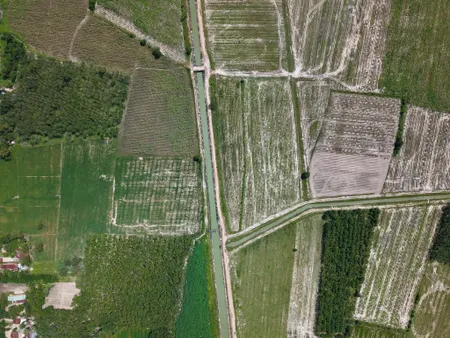Bán đất 4523.3m² ngang 1000m giá 1 tỷ Xã Phước Vinh