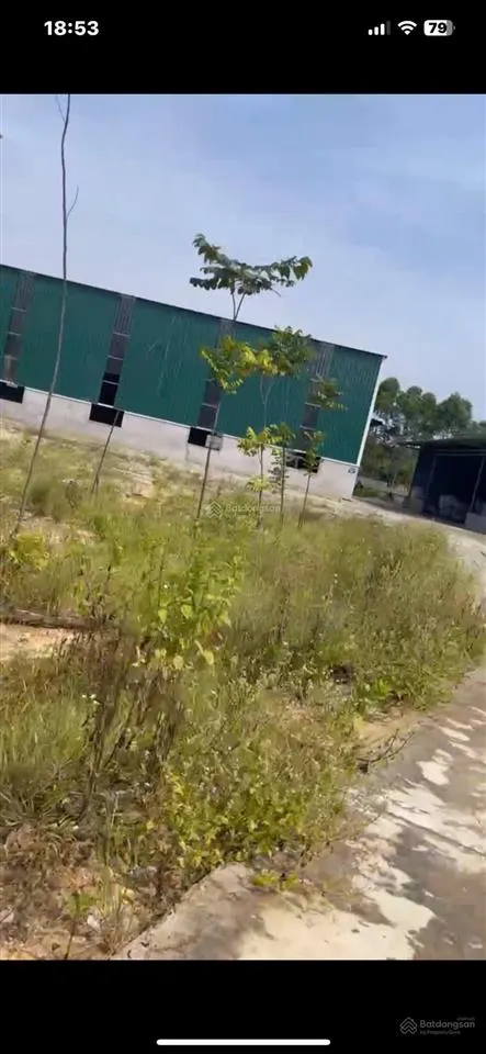 Bán 6000m2, nhà xưởng, 1200m tc, tại lục sơn, lục nam, bắc giang, 100m ra tỉnh lộ. mr jimtong