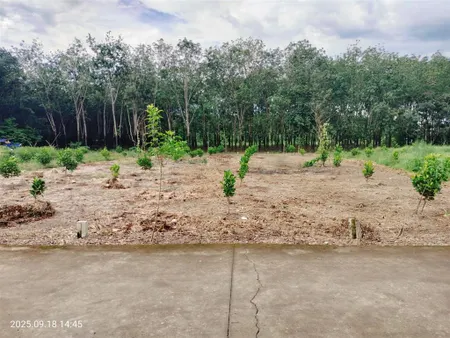 Bán mảnh vườn mít view suối siêu đẹp 26m ngang sổ sẵn mặt tiền 1 bê tông, 1 mặt giáp suối cạnh ql14