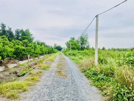Bán đất rẻ nhất khu vực, hai mặt tiền 5500m2 (1400m2 thổ cư)