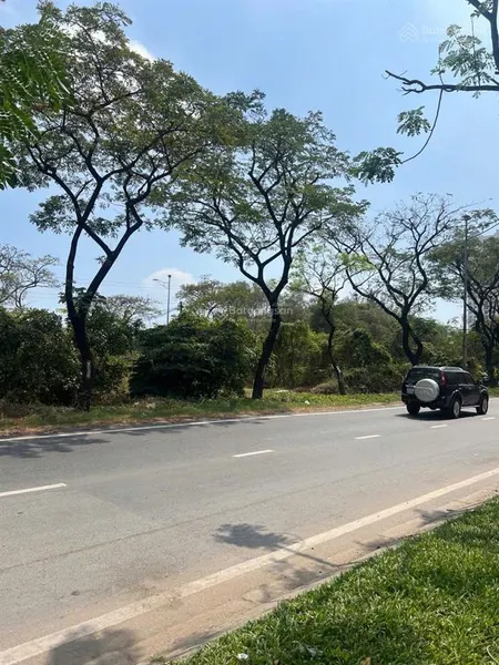 Bán 4.763m² (mặt tiền 25m, nở hậu 50m, dài 100m) đường nguyễn văn tạo, hiệp phước, nhà bè, 130 tỷ