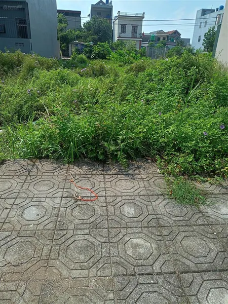 Bán đất tại thị trấn hưng hà, 2,4 tỷ, 100m2, mặt tiền 7m đẹp, tiện ích xung quanh