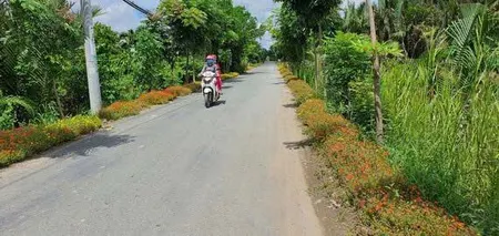 Đất vườn mặt tiền đường 4c cách quốc lộ 50 100m, giá 3,8tỷ, 0933 525 ***
