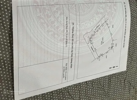 Bán siêu phẩm lõi khoáng nóng thanh thuỷ 394m, 2 mặt tiền hiếm có