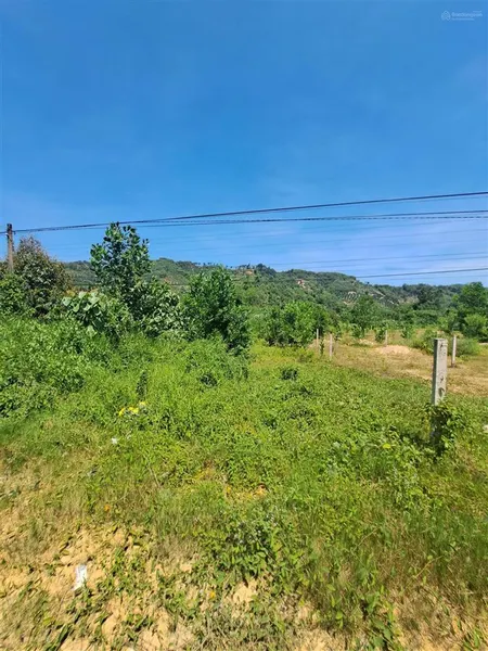 Bán đất 228.4m2 (100m2 thổ cư) xã đạ tồn, đạ huoai, lâm đồng, mặt tiền đường nhựa lớn, 770 tr tl